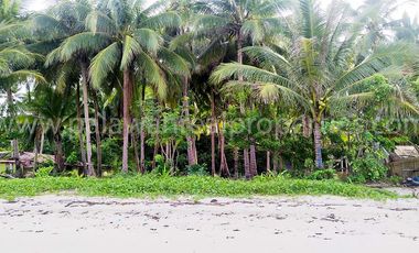 Titled beachfront: 1.3 Hectares of El Nido Coast