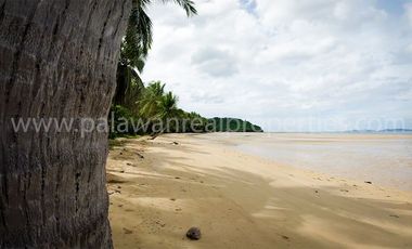 “Premier El Nido Beachfront in san fernando palawan”