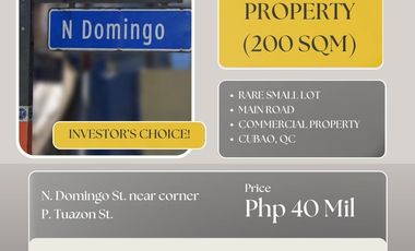Rare Small Commercial Lot - N. Domingo St. QC