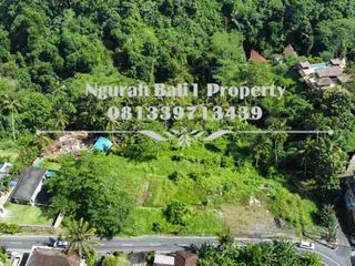 Over Kontrak  Luas Tanah 69,38 Are View Jungle dan Tebing di Ubud