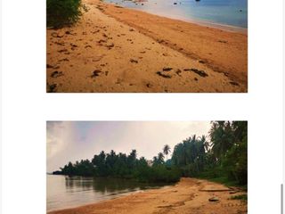 Beachfront Agricultural Lot for Sale in Binga, Palawan