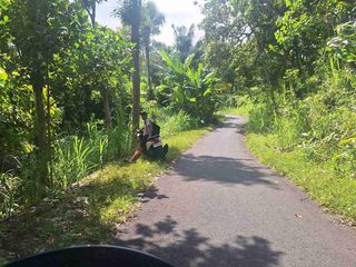 Tanah  Murah 20 are di Bali