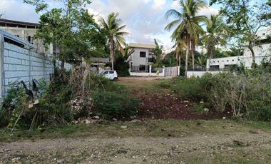 342sqm clean title lot in Looc Panglao Bohol 6000 per sqm square type land shape