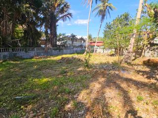 Prime Palangan 1,027 sqm Residential Lot Sale - Clean Title - Ready to Build: Palangan/Puerto Galera,  Mindoro Oriental
