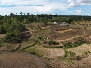4.2 Hectares Titled Farm Property for Sale – San Francisco, Ubay, Bohol, Philippines