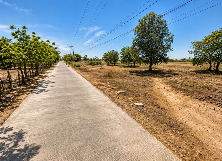 place photo 5