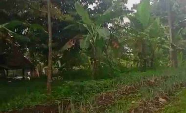 Tanah murah di trawas