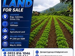 AGRICULTURAL LAND FOR SALE IN BRGY. CABINTAN, ORMOC CITY