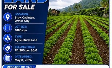 AGRICULTURAL LAND FOR SALE IN BRGY. CABINTAN, ORMOC CITY