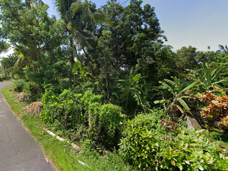 Tanah Strategis 5,5 Are Dijual di Selemadeg, Tabanan Area
