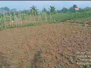 Di jual tanah sangat cocok untuk pertanian dan ivestasi masa depan