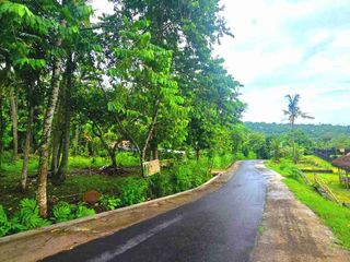 Dijual Tanah Di Seraya Karangasem View Bukit Dan Laut ITR Kuning