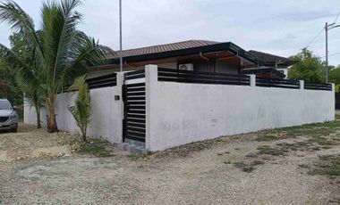Clean title brand new fully furnished 2 bedrooms 3 toilet house in Dao Dauis Panglao Bohol 15M