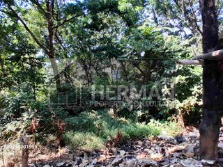 Tanah Tembalang Bulusan Undip