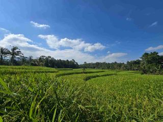 tanah luasan kecil sangat strategis di kawasan wisatasa di tabanan dengan view sawah terasering
