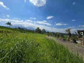 tanah luasan kecil di tempat sangat strategis berada di kawasan wisata berkembang di tabanan