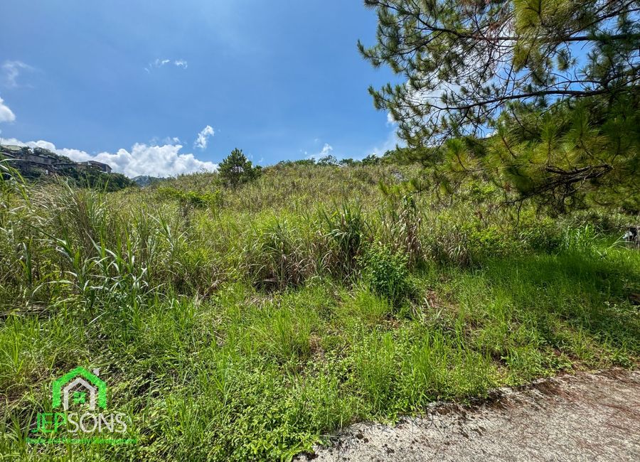 place photo 6