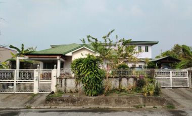 410sqm House and Lot at Phase 1 Moonwalk Village, Paranaque City