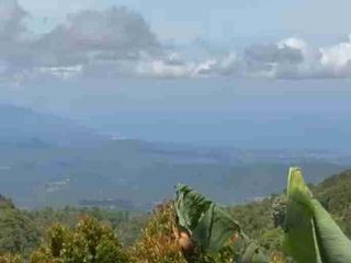 tanah view laut Munduk buleleng bali
