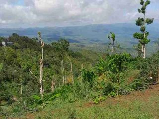 tanah Munduk buleleng bali
