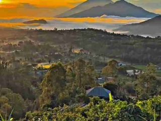 tanah gunung Batur kintamani bali