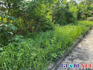 Lot for Sale in Tisa Cebu