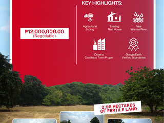 2.96 Hectares of Productive Agricultural Land in Pamatawan, Castillejos, Zambales