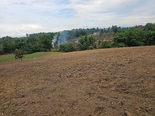1.3 hectares clean title for sale in Ubay Bohol  1.5m net