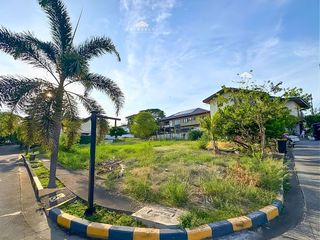 PRICE DROP! Luxury Residential Lot at Palms Pointe Filinvest | 333 SQM Property in Muntinlupa