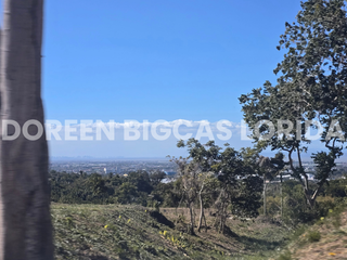 LOT FOR SALE: 583sqm Brookside Residential Lot in Calamba Laguna - Ayala Greenfield Estates