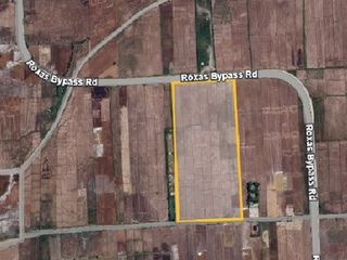 AGRICULTURAL LOT for San Antonio, Roxas, Isabela, Cagayan