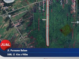 Tanah Ukuran Panjang Cocok Bangun Perumahan di Jalan Purnama Dalam