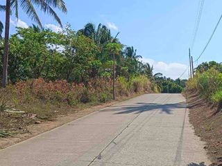 Farm Land for Sale in Cahil Calaca Batangas