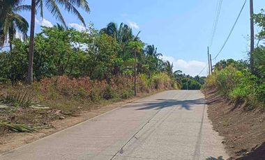 Farm Land for Sale in Cahil Calaca Batangas