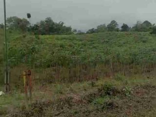Di jual tanah murah .sangat cocok untuk yayasan pertanian peternakan.lokasi sangat bagus jln cor Beton masuk truk dobel .