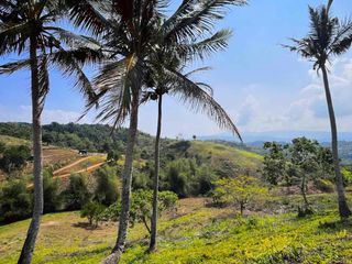 Overlooking Farm Lots in Tanay,Rizal - Sampaloc Hills as low as 3,000 per square meter, up to 5 Years to Pay with 0% Interest