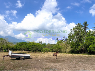 FOR SALE LOT IN LOS BAÑOS, LAGUNA