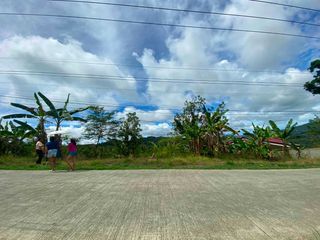 Prime Farm Land for Sale in Adlaon, Cebu City
