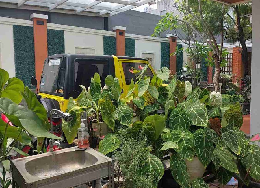 place photo 10
