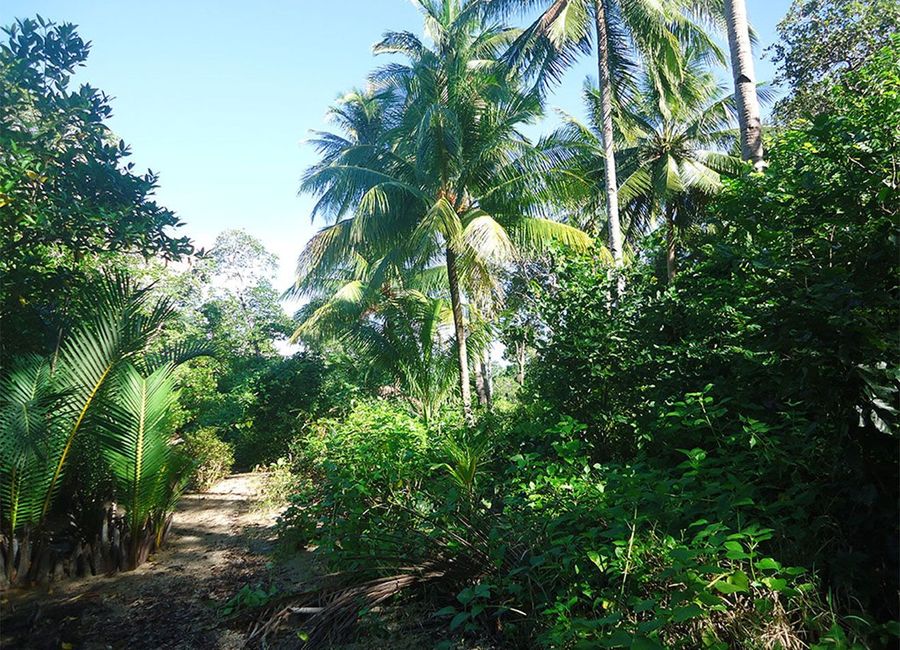 place photo 8