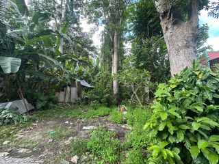 Cocok untuk Villa!! Dijual Tanah Lokasi Pariwisata   Terletak di Jl. Blimbing Sari , Pecatu, Kuta Selatan