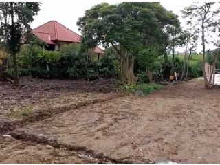 PREMIUM LAND TUMBAK BAYUH PERERENAN CLOSE TO CANGGU
