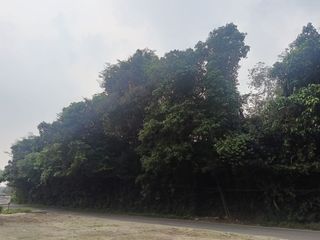 TANAH LUAS & STRATEGIS DI CIMARGA, LEBAK – COCOK UNTUK INVESTASI/KEBUN 🌟