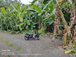 Dijual Tanah Pekarangan Kosong di Panggungharjo Sewon Bantul