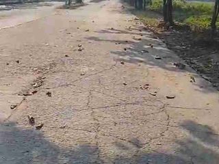 Dijual tanah kawasan industri CBA jadikan serang