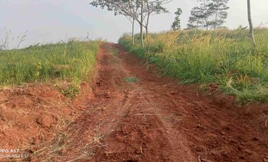Kebun + Sawah 3000 m, Dekat Pintu Tol, Akses Masuk Mobil. Darangdan, Purwakarta.