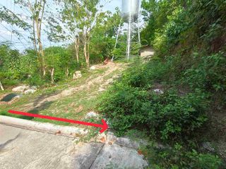 Lot for sale in Cebu City, Garnetville Subdv