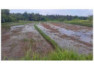 DIJUAL LAHAN PEMUKIMAN STRATEGIS DI DESA SUKAWATI-TABANAN