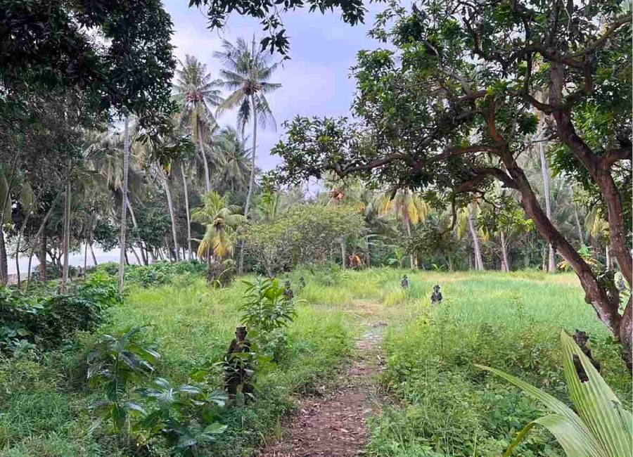 place photo 12