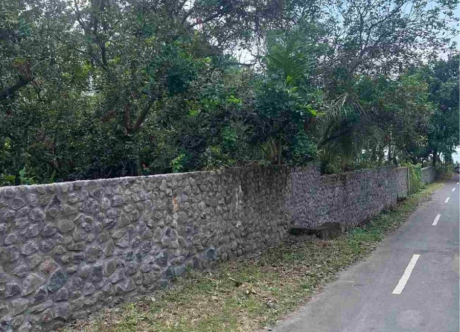 place photo 15